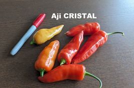 Item image 14