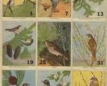 5 Sheets of Uncut Trading Cards of North American Birds  - $196.02