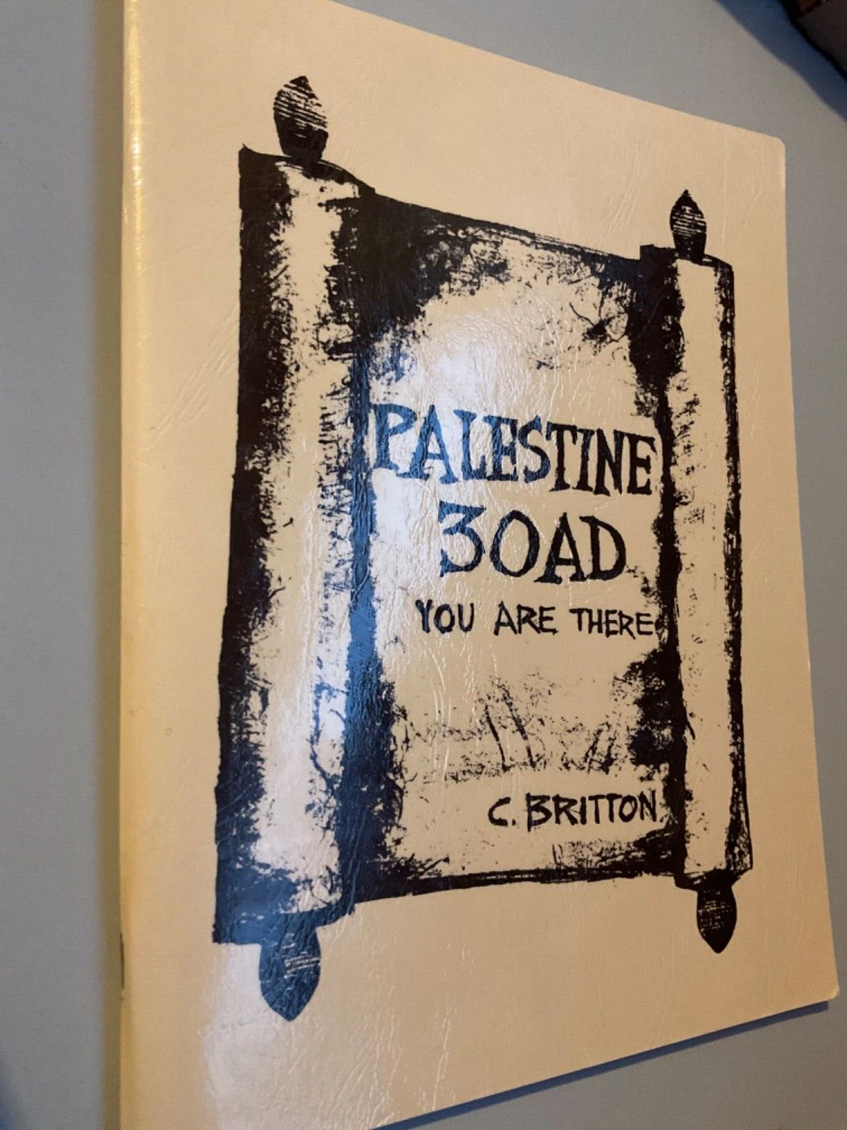 &quot;Palestine 30AD: You Are There&quot;, Colleen Britton - $110.35 MXN