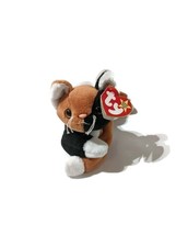 CHIP THE CAT BEANIE -TY BEANIE BABY Pre-owned but in great condition wit... - £12.50 GBP