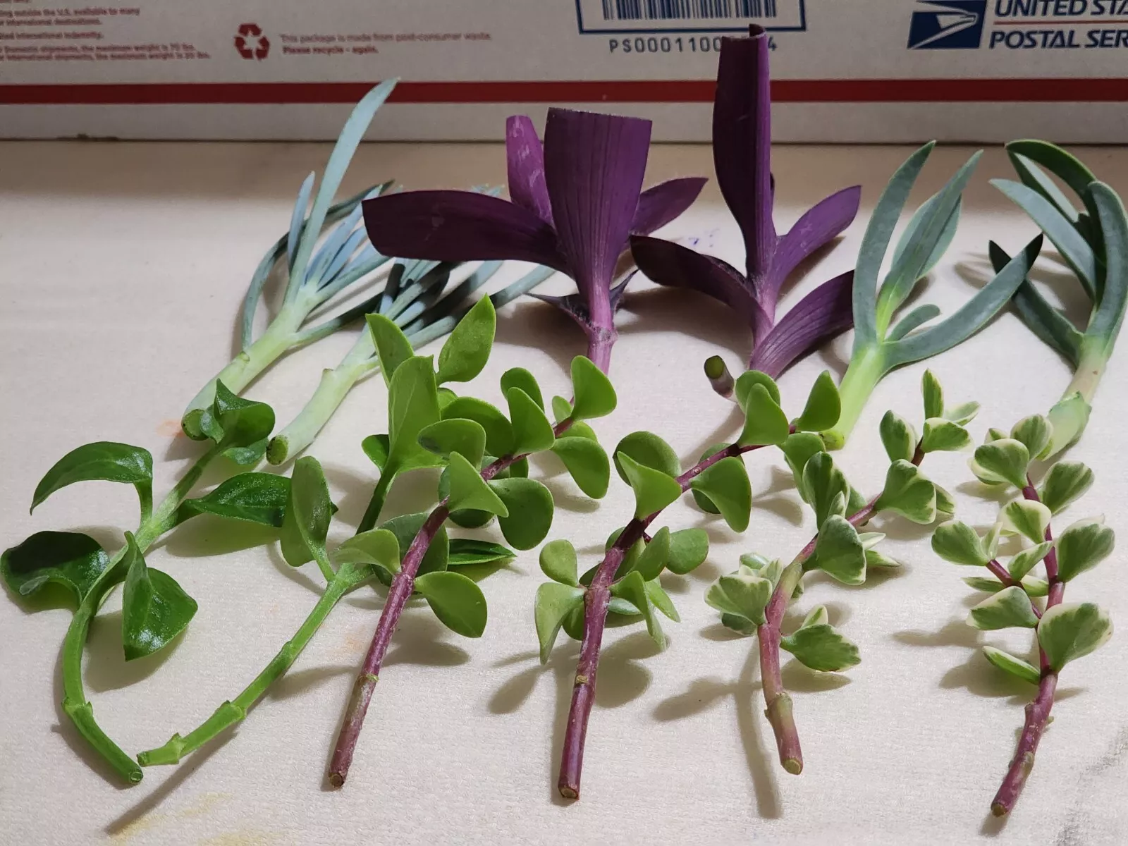 Item image 1 image 1