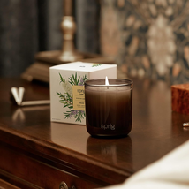Sprig by Kohler Scented Aromatherapy Candle, Shield (Tea Tree & Rosemary), 8 Oz  image 4