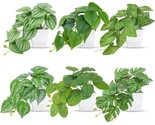 6 Packs Small Fake Plants Desk Accessories Plants For Home Office Living... - $31.99