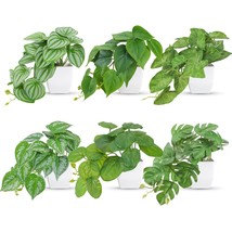 6 Packs Small Fake Plants Desk Accessories Plants For Home Office Living Room Ba - £25.53 GBP
