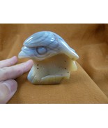 (Y-BIR-EA-80) tan white Agate Eagle bird gemstone figurine I love eagles... - $43.00