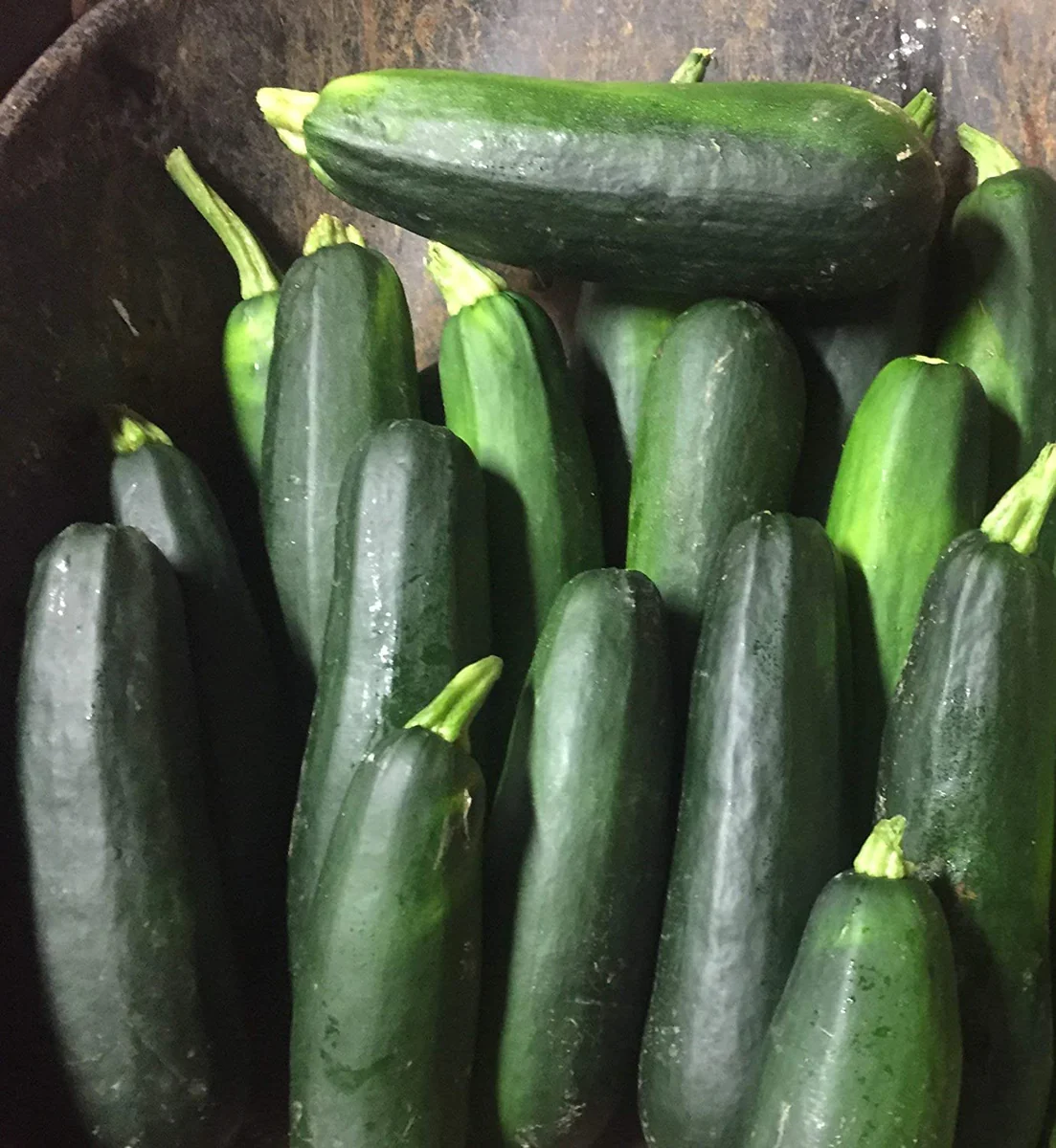 20 Seeds Zucchini Dark Green Squash Great Taste Vegetable Heirloom - £14.86 GBP