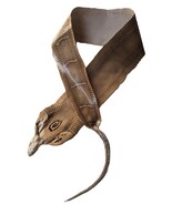 Tanned Head-on Genuine Cobra Snake Skin Snakeskin Leather w/ Boney Tail ... - $491.52 MXN+