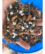 Natural Orchid Medium - 1 qt. Coconut husks, perlite, charcoal, and clay... - €11,16 EUR