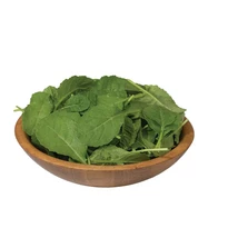 1000 Ethiopian Kale Seeds Brassica Carinata Non-GMO Heirloom - $128.32 MXN