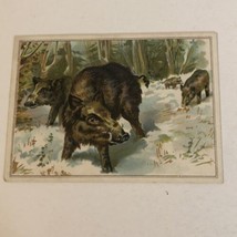 Lion Coffee Victorian Trade Card VTC 4 - £4.43 GBP