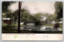 Dowagiac MI Historic Cabin On Lee&#39;s Lawn Davidson Family Long Pine Postcard A33 - £6.28 GBP