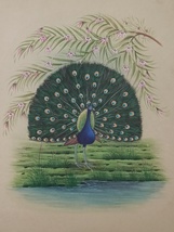 Dancing Peacock Handmade Painting for Home Decor, wall Decor |  11x14 Inches - £103.11 GBP