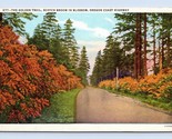 Golden Trail Scotch Broom Blossoms Oregon Coast Highway OR Linen Postcar... - $2.92