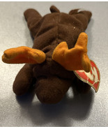 TY Beanie Baby Chocolate the Moose - £5.35 GBP