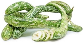 Fresh Speckled Snake Gourd Seeds For Planting (10 Seeds) - Grow Exotic 3 Foot Lo - $18.58