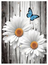 Vibrant Beautiful Blue Butterfly &amp; Daisies Canvas Print Framed 12&quot; x 16&quot; NEW! - £10.97 GBP