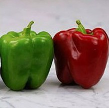 Bull Nose Sweet Peppers Seeds More Heirloom, Organic, Non GMO - €4,76 EUR
