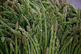 25 Seeds Mary Washington Asparagus....the Best!!!!!! - £2.39 GBP