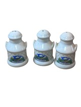 California USA Salt and Pepper Shakers Vintage MILK CAN Travel Souvenir - $6.99