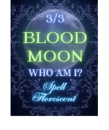WHO AM I? HIGH RITE MAGICK 3/3 BLOOD MOON ECLIPSE 3:33AM COVEN 200 WITCHES  - $339.77