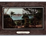 Farm Cove Botanic Gardens Sydney New South Wales Australia DB Postcard W8 - $4.90