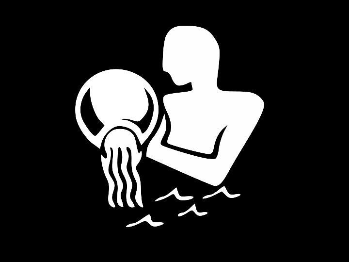 AQUARIUS Emblem Astrology Zodiac Birth Sign Vinyl Decal Car Truck Sticker