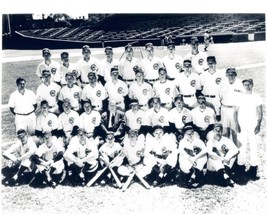 1952 Chicago Cubs 8X10 Team Photo Baseball Picture Mlb - $4.94