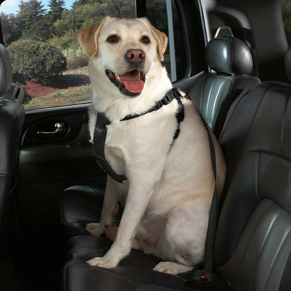 Black Car Harnesses for Dogs Travel Safety Secure Seat Buckle Dog Nylon Strap
