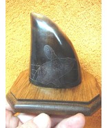 (ak-moose-116) GENUINE MOOSE HOOF Whale display etched Alaskan Eskimo ar... - $125.05 CAD