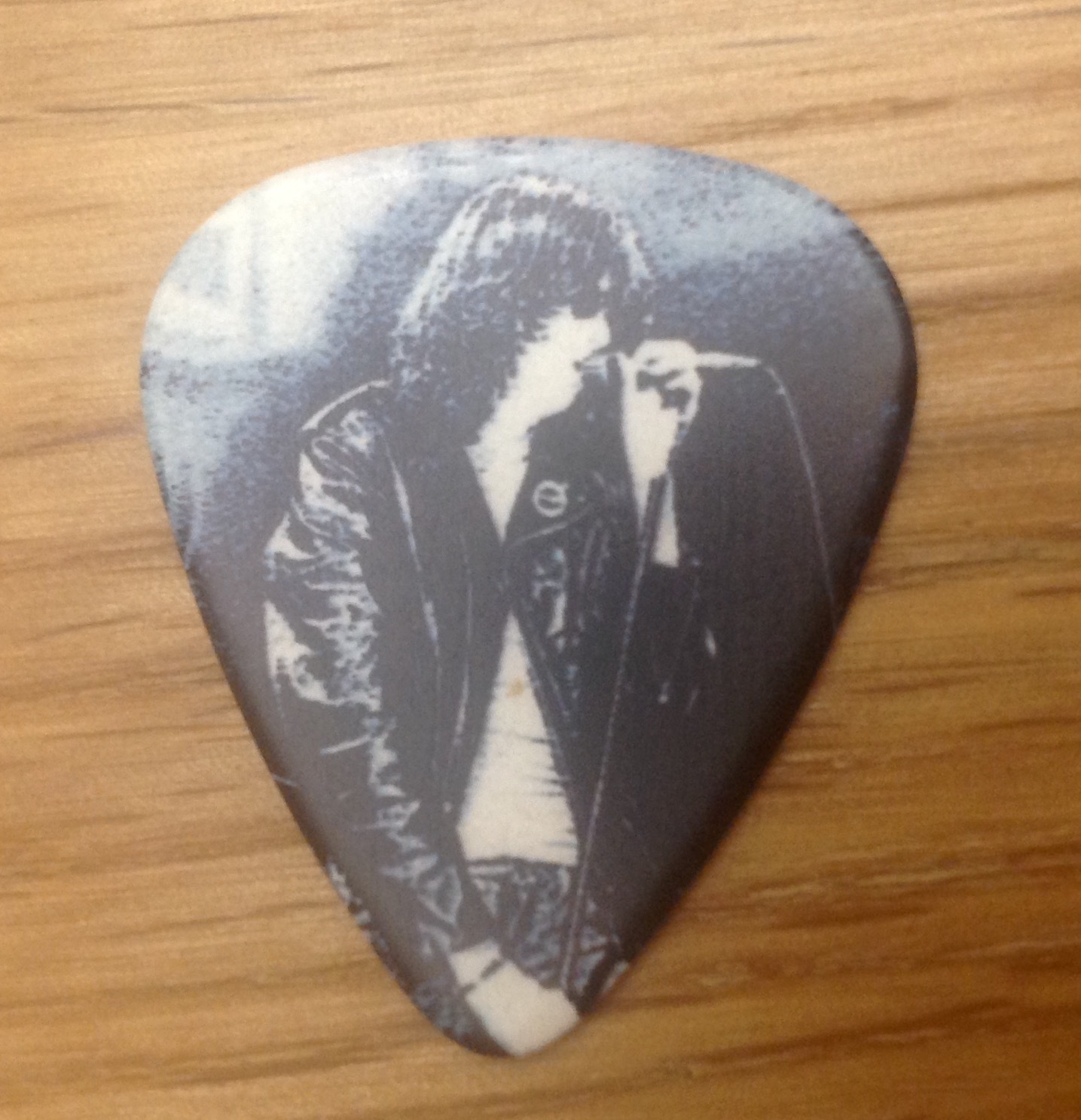 Primary image for Joey Ramone Guitar Pick The Ramones Punk Rock Plectrum 0.71m