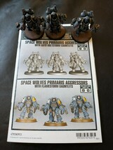 Lotto Di 3 Spazio Lupi Primaris Aggressors Dipinto Games Workshop Warham... - €53,62 EUR
