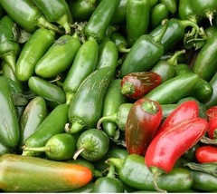 Hot Pepper JALAPENO 5,000 Scovilles Poppers Heirloom Non-GMO 100 Seeds - £7.11 GBP