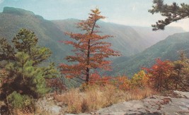 Linville Gorge Wiseman&#39;s View Western North Carolina Postcard Unposted - £7.75 GBP
