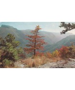 Linville Gorge Wiseman&#39;s View Western North Carolina Postcard Unposted - £7.38 GBP