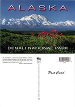 Alaska Denali Mountain McKinley In Denali National Park VTG Postcard - £7.39 GBP