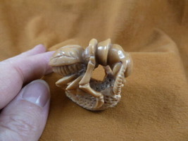 (tb-ins-3-1) tan Praying Mantis Tagua NUT figurine Bali detailed insect carving - £30.49 GBP