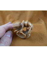 (tb-ins-3-1) tan Praying Mantis Tagua NUT figurine Bali detailed insect ... - £30.53 GBP