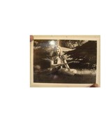 Barb Ryman Press Kit And Photo  Like A Tree - $37.44 CAD