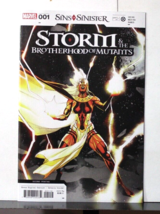Storm &amp; The Brotherhood Of Mutants #1 May 2023 Second Printing - $6.51