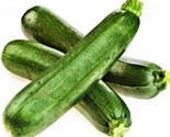 Black Beauty Zucchini Seeds 20 Seeds Non-Gmo Fast Shipping - £6.41 GBP