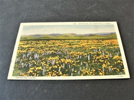 Springtime- California Wild Flowers - Linen 1941 Postmarked Postcard. - £11.31 GBP