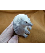 Hed-w11 little sitting Hedgehog shed moose ANTLER figurine Bali detailed... - £187.47 GBP