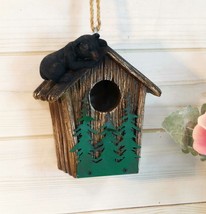 Rustic Black Bear Cub Climbing Pine Trees Birdhouse Roof Hanging Bird Feeder - £26.30 GBP