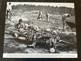 Civil War Western 14X11 Print Documentary Photo Aid Luis Aviles Burial P... - $19.75
