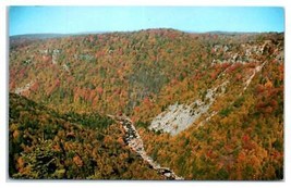 Blackwater Canyon Davis West Virginia Unused Postcard - £4.03 GBP