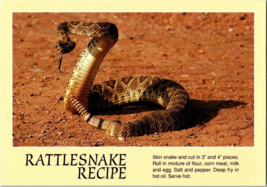 Postcard Rattlesnake Diamondback One of Most Poisonous in the World 6 x x4 ins - £5.42 GBP
