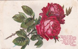 Red Roses Poem 1909 Hartville Ohio OH Postcard C46 - £2.33 GBP