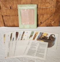 Vintage 1966 A Trip To The Zoo Teaching Pictures Complete Set David C Co... - $29.99