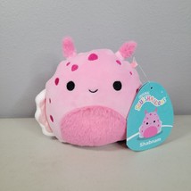 Squishmallow Sea Life 7 inch Shabnam The Sea Slug Plush NEW w/ Tags NWT - £8.11 GBP