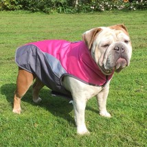 The Stylish Canine Rainmaster: Stay Dry in Fashion! - £15.92 GBP+